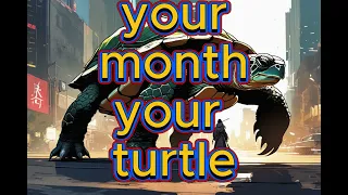 Your month your turtle