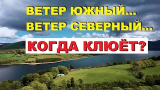 СТАЛО ИЗВЕСТНО как влияет южный и северный ВЕТЕР на клёв рыбы. SeMano TV