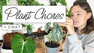 Houseplant Chores 🌱 Moss Pole Making, Repotting + Propagation Update 🌿 Indoor Plants For Beginners