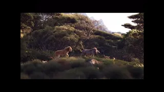 Lion King (deep fake)