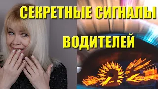 Как водителям понять друг друга? Сигналы водителей: звуковые, световые, жесты.