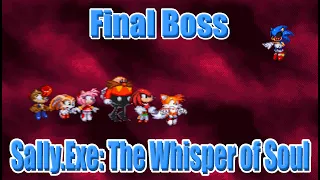 Sally.Exe: The Whisper of Soul - Final Battle