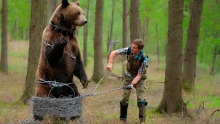 Медведь вышел к охотнику в надежде избавиться от страданий! То, что сделал мужчина, поразит вас!