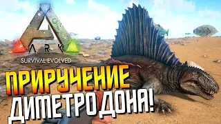 Приручение Диметродона (Dimetrodon) #8 ARK - выживание на карте Вальхалла (Valhalla)