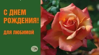 С днем рождения, любимая! С днем рождения для любимой!