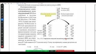 Біохімія. Лекція. Молекулярні особливості процесу реплікації ДНК