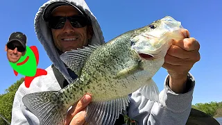 BOBBER FISHING FOR CRAPPIE WITH LIVE MINNOWS