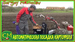 Автоматическая посадка картофеля картофелесажалкойAutomatic planting of potatoes with a potato
