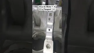 Dica Sobre Montagem Motor C3 1.4 e Peugeot 1.4