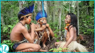 This Is How Tribes In The Amazon Rainforest Live!