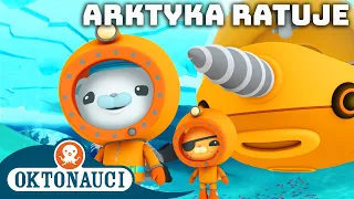 Oktonauci - 🐻‍❄️ Arktyka ratuje ⛑️ | Kompilacja | Całe odcinki