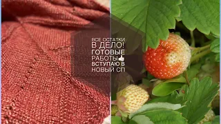 KnitVLOG 28/22 Процессы, продвижения, готовые работы // Вступаю в новый СП 🧶