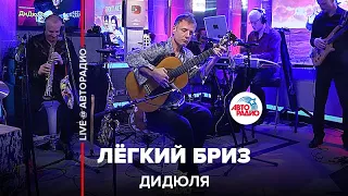 ДиДюЛя - Лёгкий Бриз (LIVE @ Авторадио)