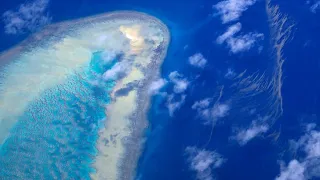 Videografik: Das Great Barrier Reef