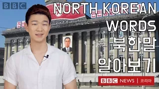 BBC Korea | North Korean Words [Korean Billy]