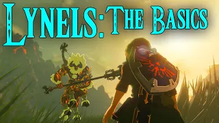 Lynel Basics, Attack Patterns, Strategies & More | BotW