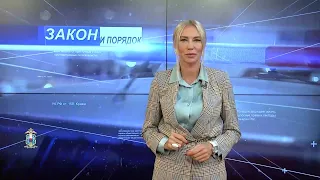 Выпуск программы «Закон и порядок» от 15.11.2023