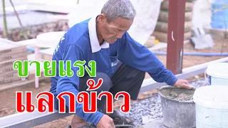 หนังสั้น ขอขายแรง แลกข้าวกิน!!  | Lovely Family TV