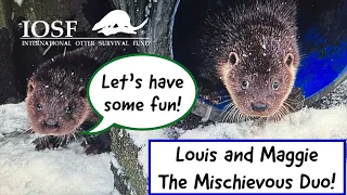 Louis and Maggie: The Mischievous Duo!