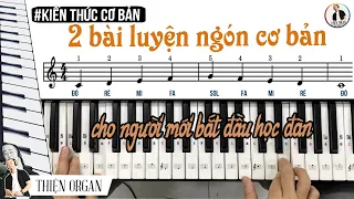 BÀI LUYỆN NGÓN ORGAN - PIANO Cơ bản cho người mới học đàn || THIỆN ORGAN