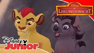 De Leeuwenwacht | Liedjes van Speciale Gasten 🎶 | Disney Junior BE