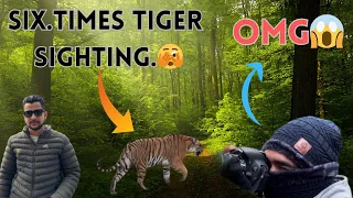 Tiger Hi Tiger 😍// #jim #corbett #yuvraj #tiger #viral #video #corbettnationalpark