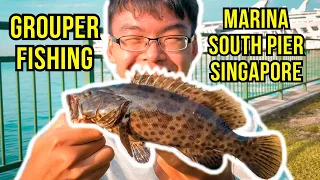 Grouper Fishing in Singapore | Fishing at Marina South Pier