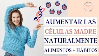 Cómo aumentar las CÉLULAS MADRE naturalmente | Explicación, qué son y para qué sirven