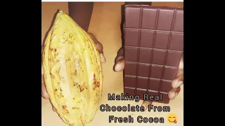 Making Real Chocolate From Cocoa #Shorts