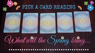 🔮 Pick a Card 🔮 The Next 3 Months ⭐ SPRING SEASON 🌟 EQUINOX READING