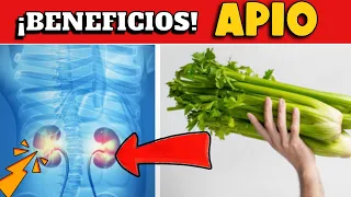 ¡IMPORTANTE!  BENEFICIOS DEL APIO QUE NO CONOCÍA !!