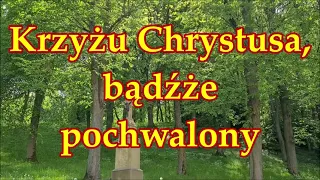 Krzyżu Chrystusa, bądźże pochwalony / Gregorianus