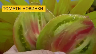 Томаты - новинки 2021 года! Эти сорта томатов я обязательно буду выращивать на будущий год!