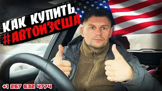 Как купить #автоизсша, порядок работы с #7motors.