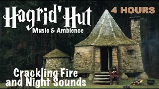 Hagrid's Hut | Harry Potter Music & Ambience - Fire and Night Sounds Near the Forbidden Forest