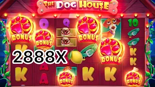 STRIMDAGI TOP 5 ta zanoslar🤩 The dog House 2888Х max win 149.000.000 söm yutuq🤩🍋