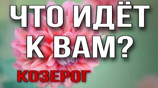 КОЗЕРОГ,  Что идет к Вам на этой неделе Таро прогноз гороскоп на неделю 5-11 сентября, анна зверева,