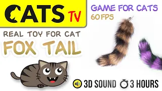 GAME FOR CATS - Catch real raccoon tails 🦝 3 HOURS [CATS TV] 60FPS