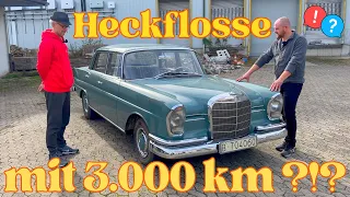 Mercedes Heckflosse 😱 3.000 km nach 60 Jahren❓(LEIDER VERKAUFT)