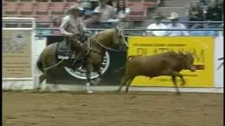 Matt Dillon Dun It - 2005 NRCHA Snaffle Bit Futurity Bridle Class Reserve Champion