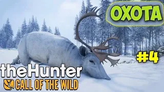 ЧТО ДЕЛАТЬ НА ОХОТЕ В МОРОЗ - The Hunter: Call of the Wild #4