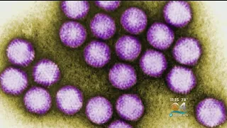 Six Children Dead After Contracting Common Virus In New Jersey