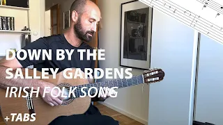 Salley gardens - Irish Folk Song - Guitar + TABs