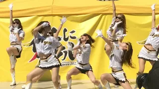 Tigers Girls  め組のひと