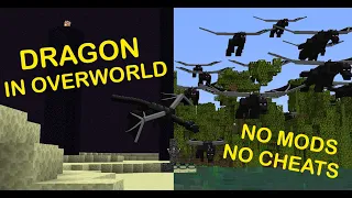 Tutorial: Overworld Dragon Dupe in Survival !!!! (1.14 -1.20)