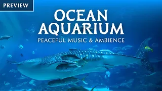 🦈 Ocean Aquarium (Preview) | Underwater Ambience with Peaceful Music for Study, Sleep, and Relaxing