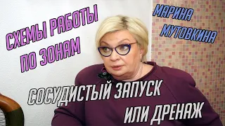 Сосудистый запуск или дренаж. Схемы работы по зонам.