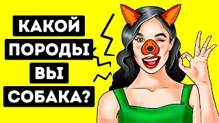 Кем бы вы были в собачьем мире? | Личностный тест