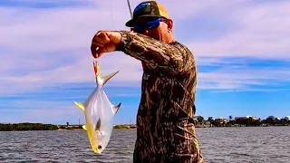 POMPANO Catch Clean & Cook Bluegabe Style