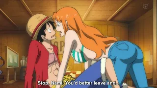 Luffy Reveals the Reason Why He Avoids Nami - One Piece